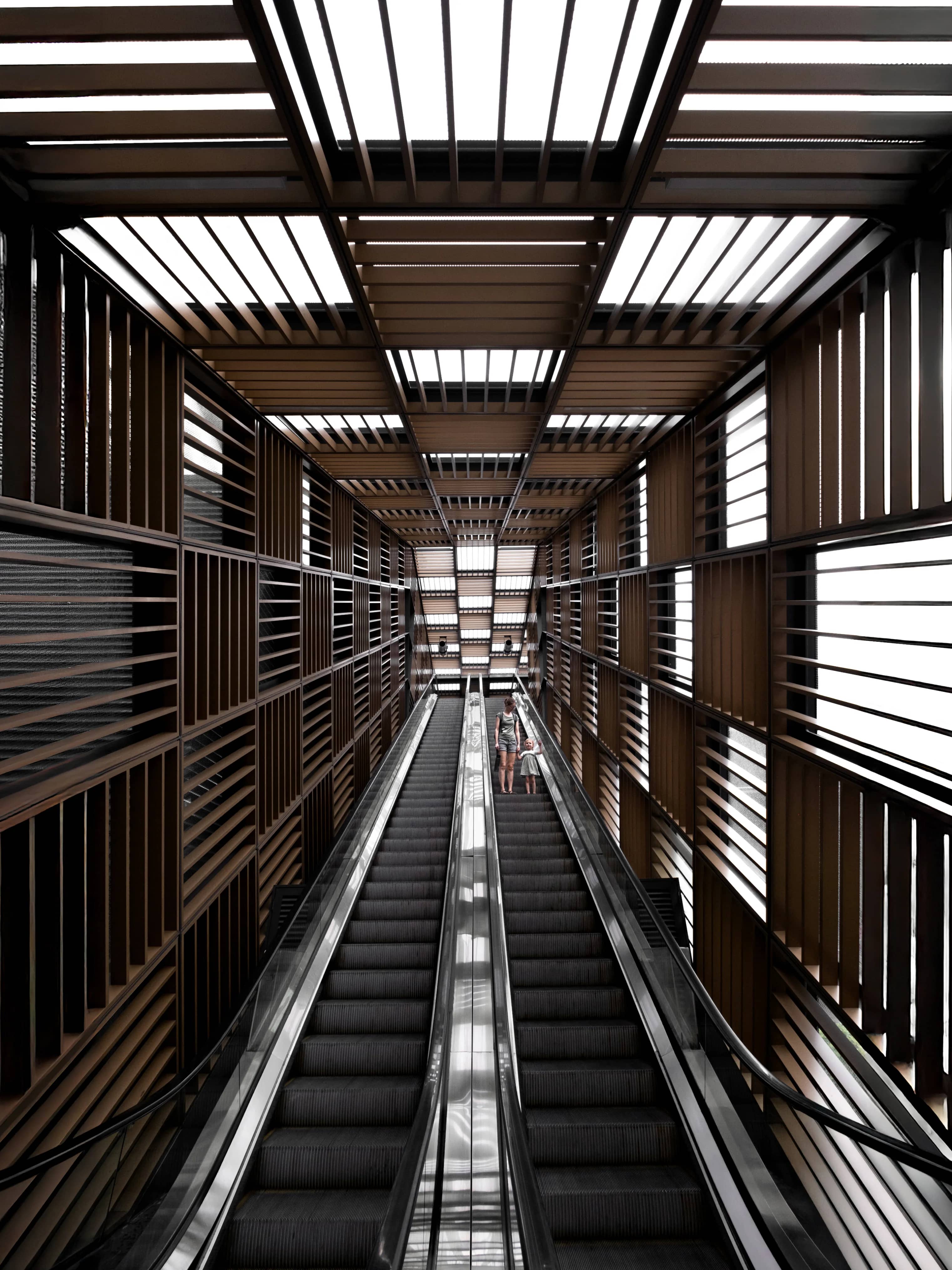Endless Order, photograph 04.