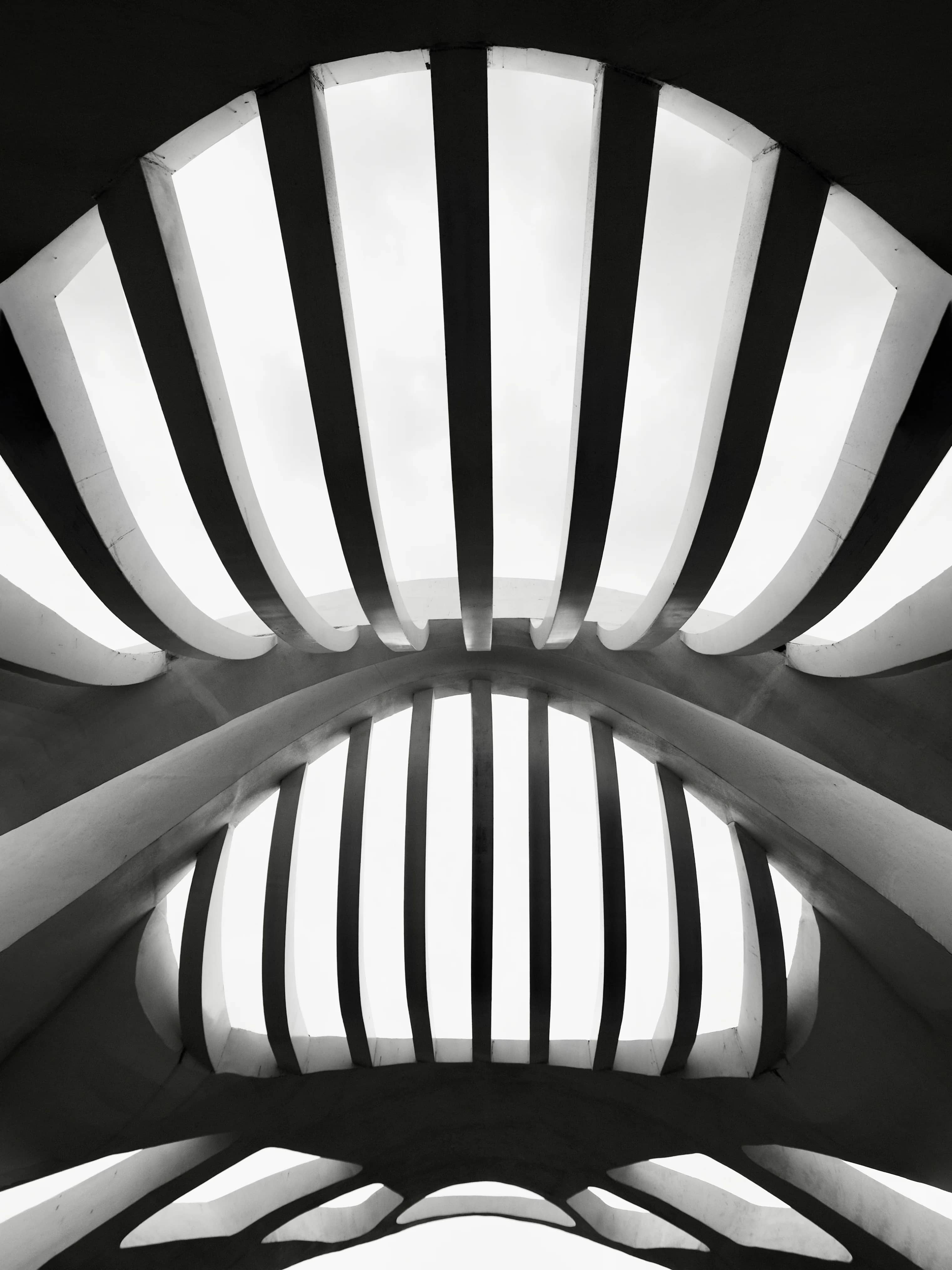 Endless Order, photograph 06.