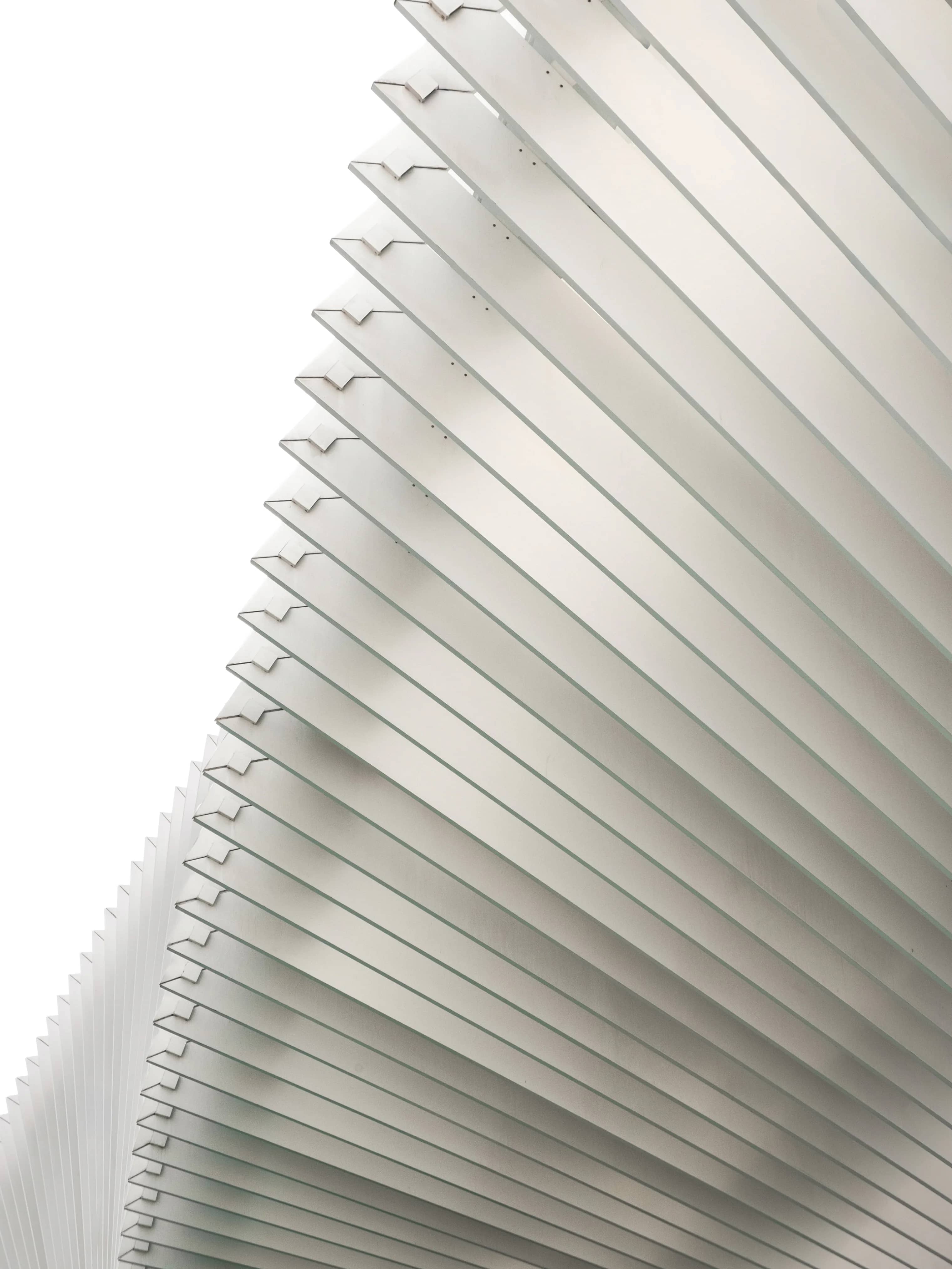 Endless Order, photograph 08.