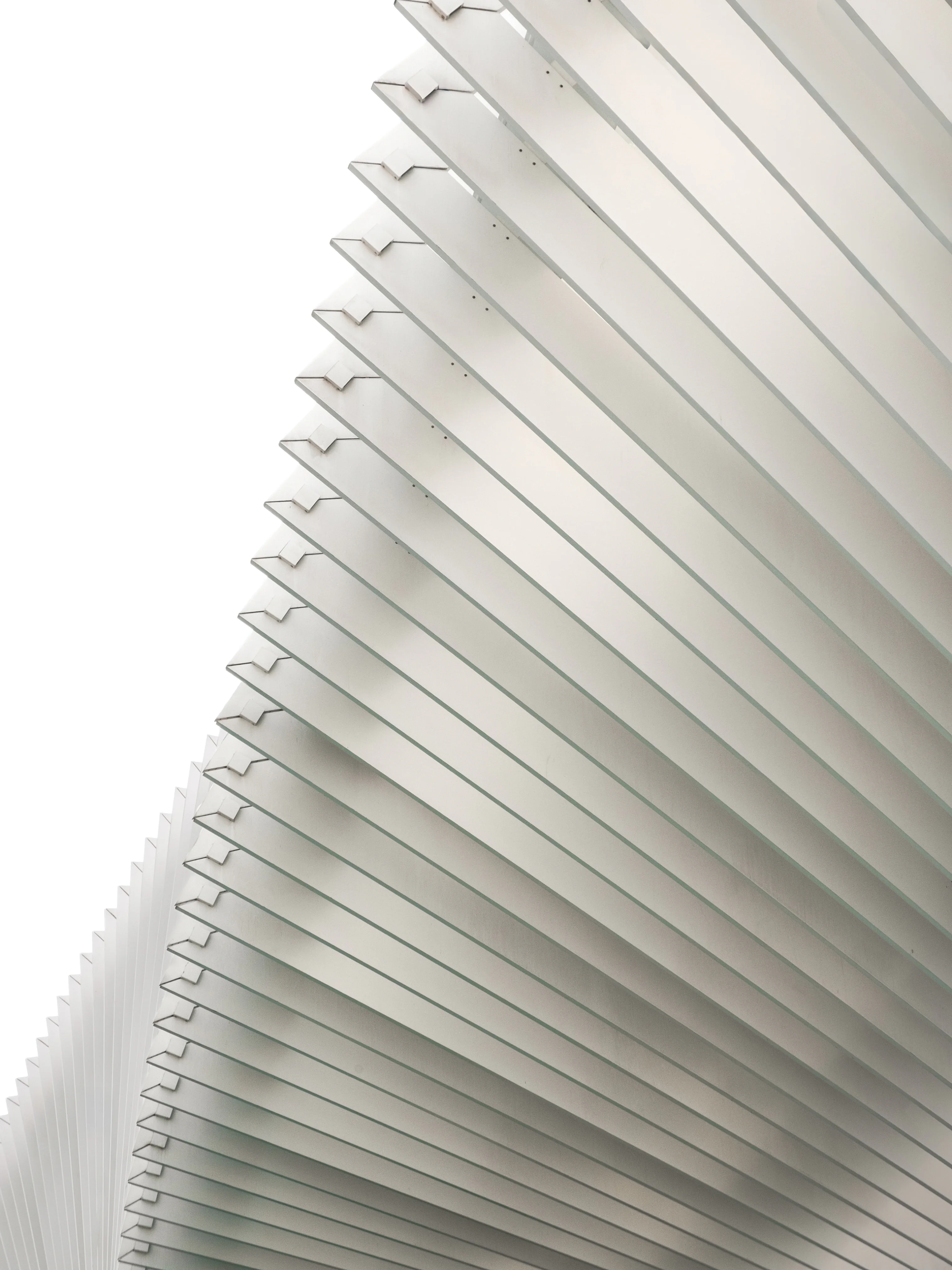 Endless Order, photograph 08