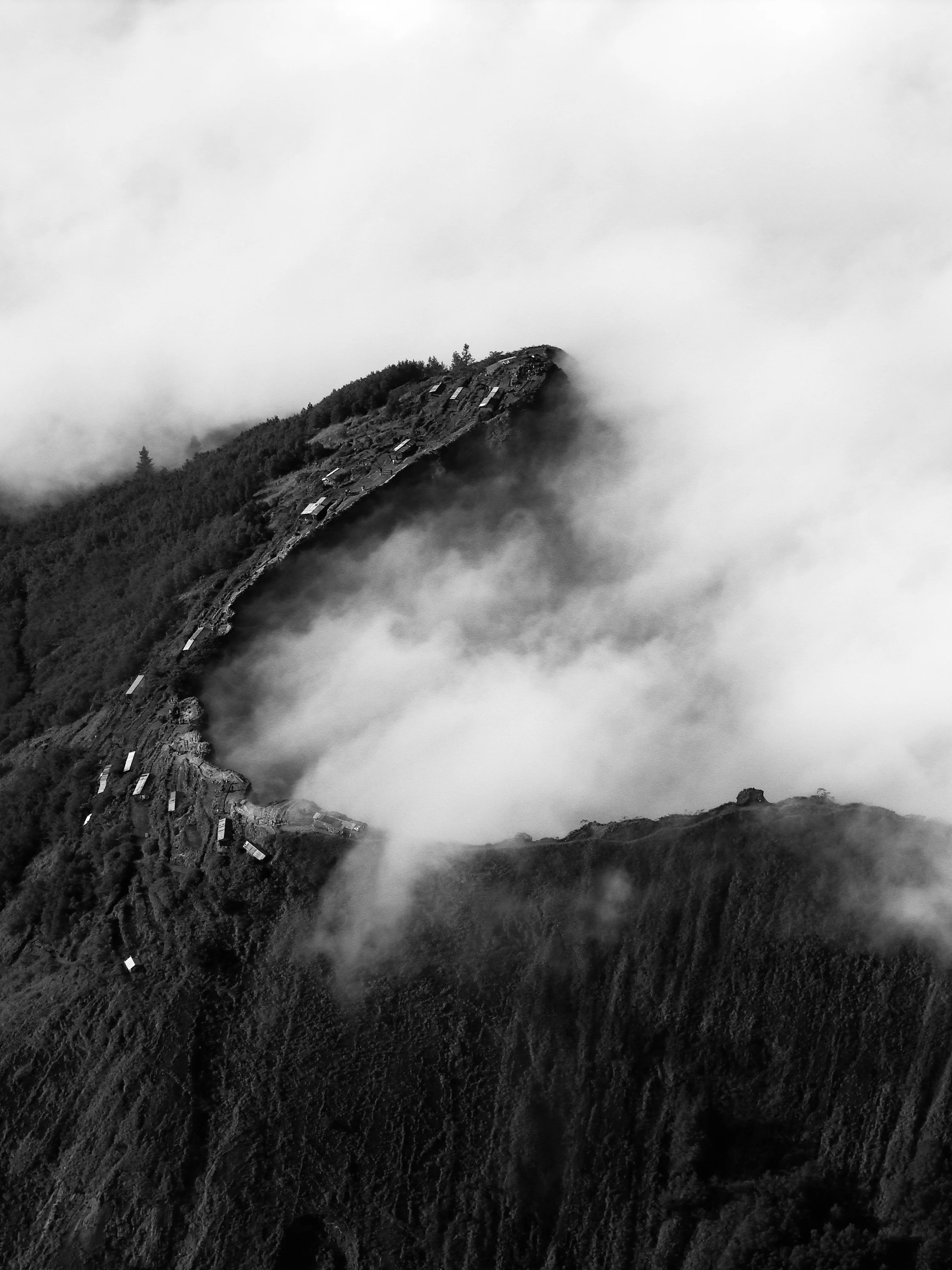 Quiet Tension, photograph 08