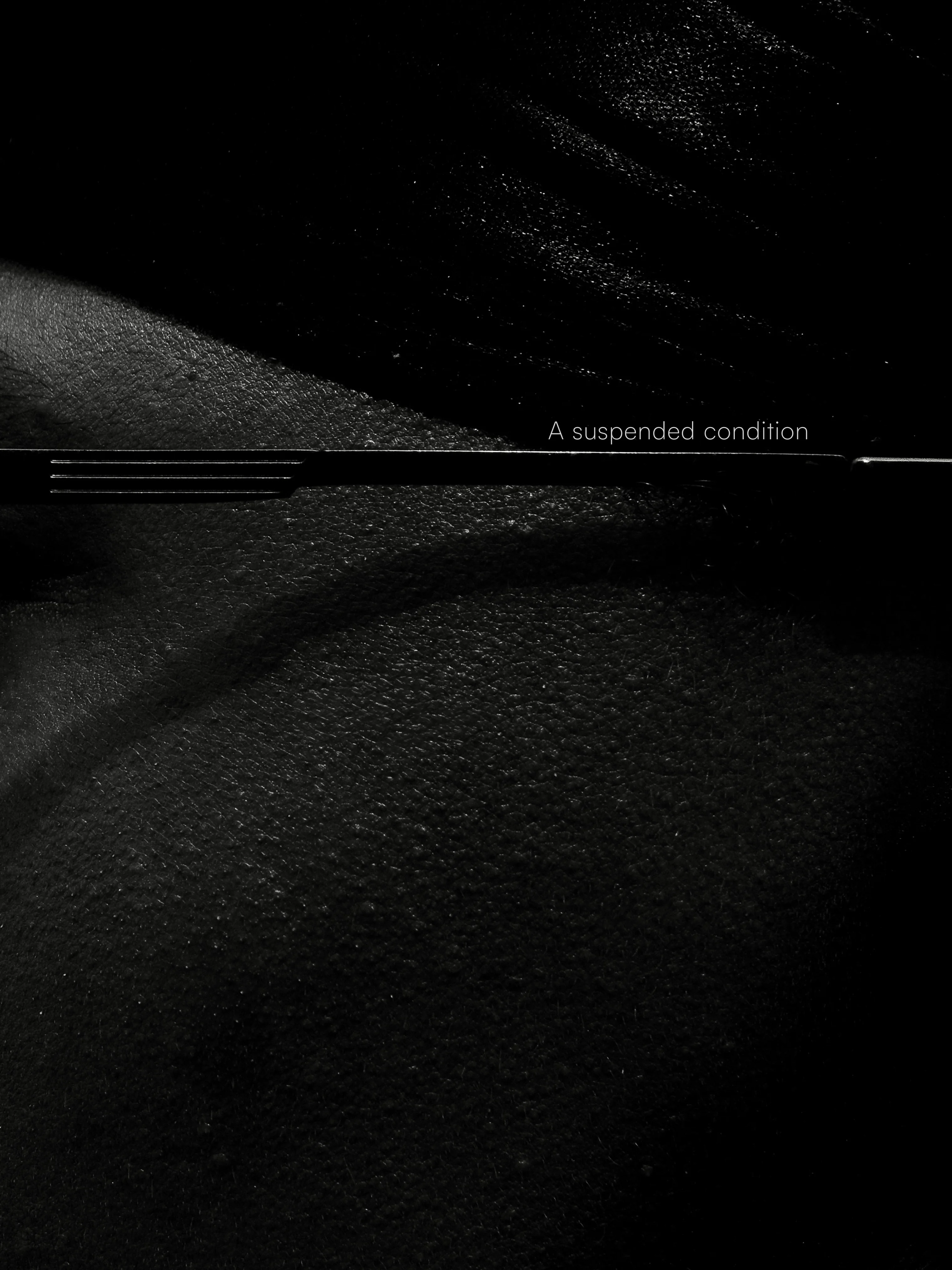 Quiet Tension, photograph 11
